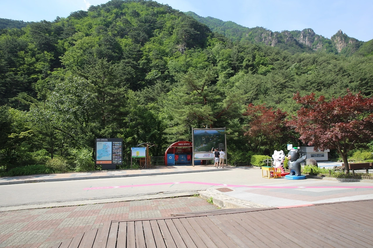 MG0A0639_новый размер.JPG