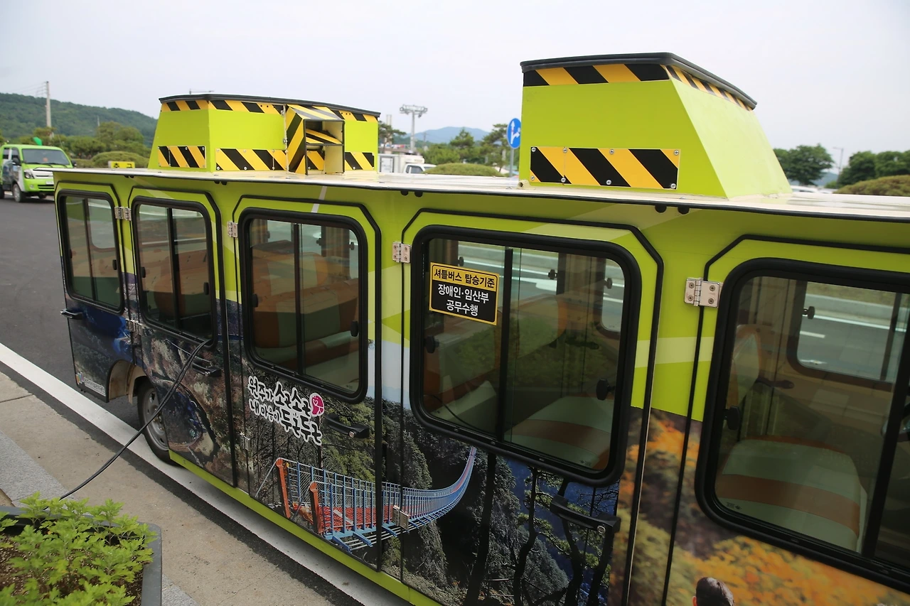 MG0A1149_новый размер.JPG