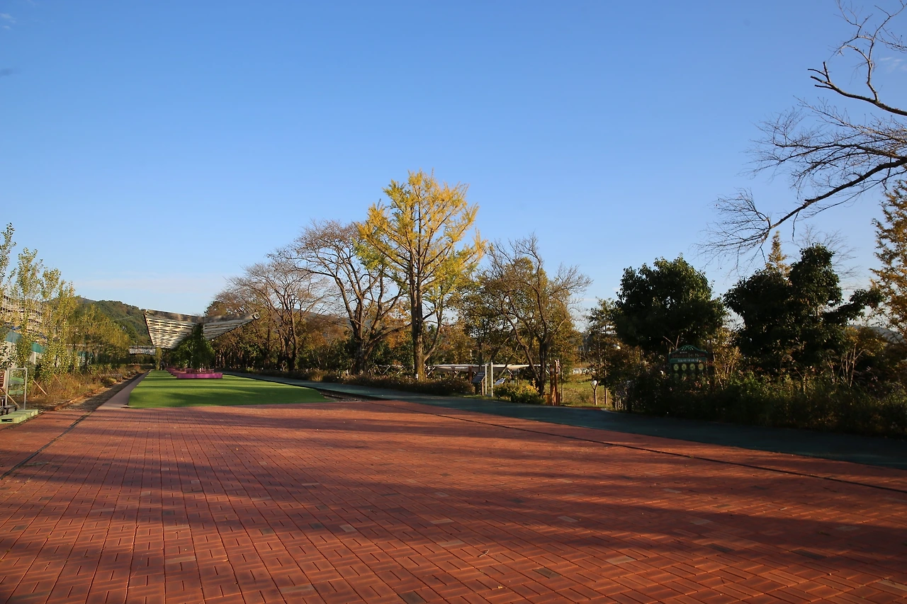 MG0A8050_новый размер.JPG