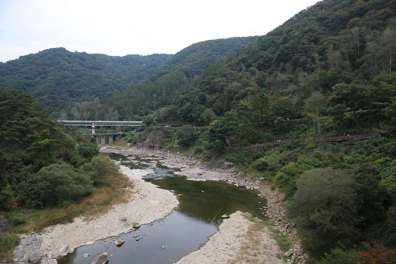 MG0A4812_новый размер.JPG