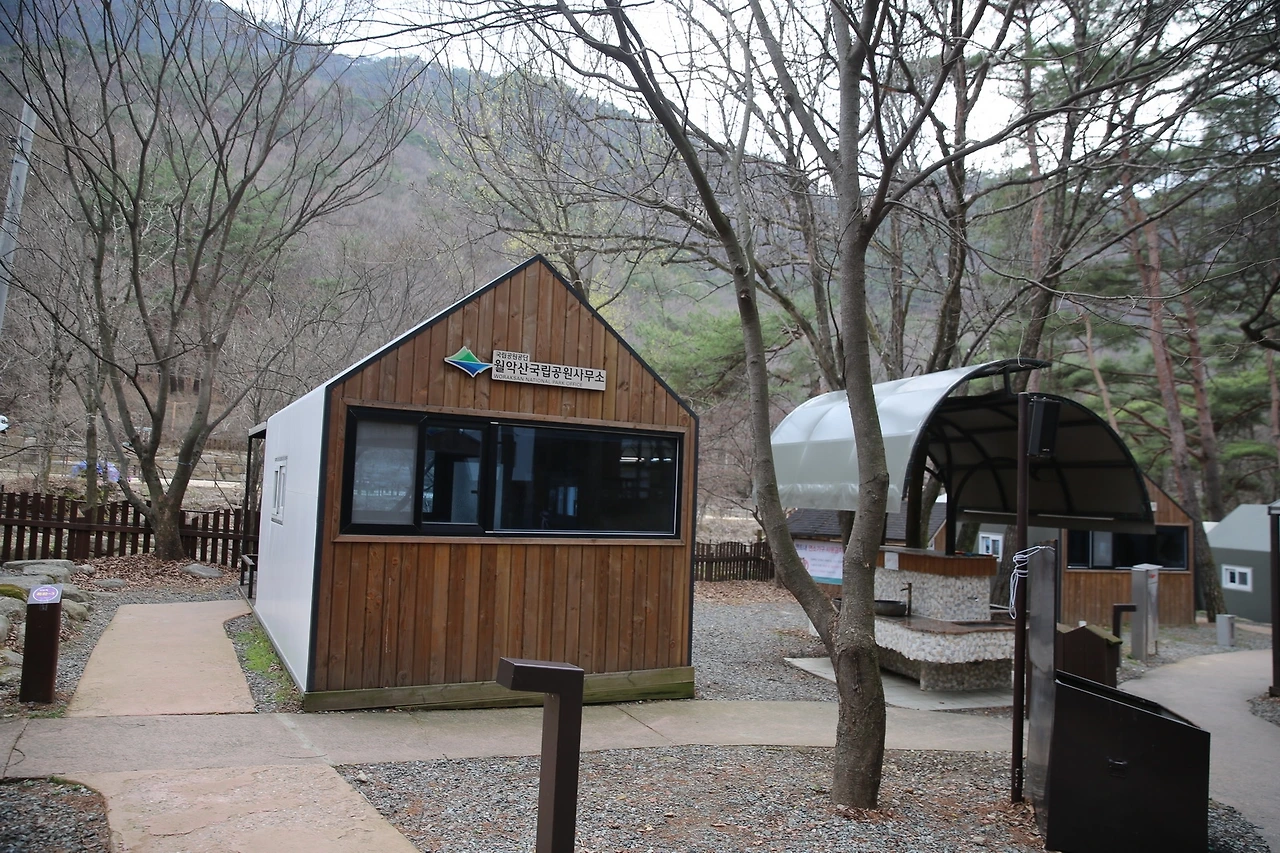 MG0A8409_новый размер.JPG