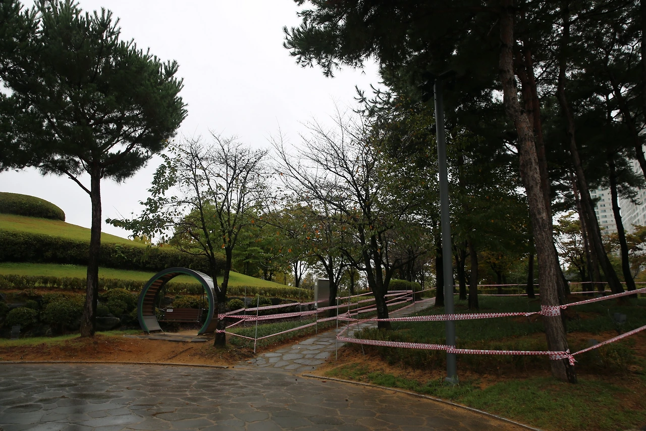 MG0A5204_новый размер.JPG