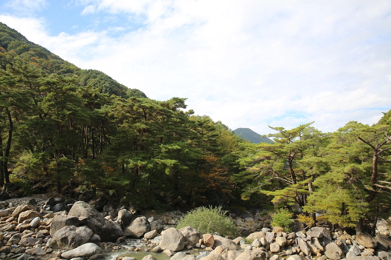 MG0A7867_новый размер.JPG