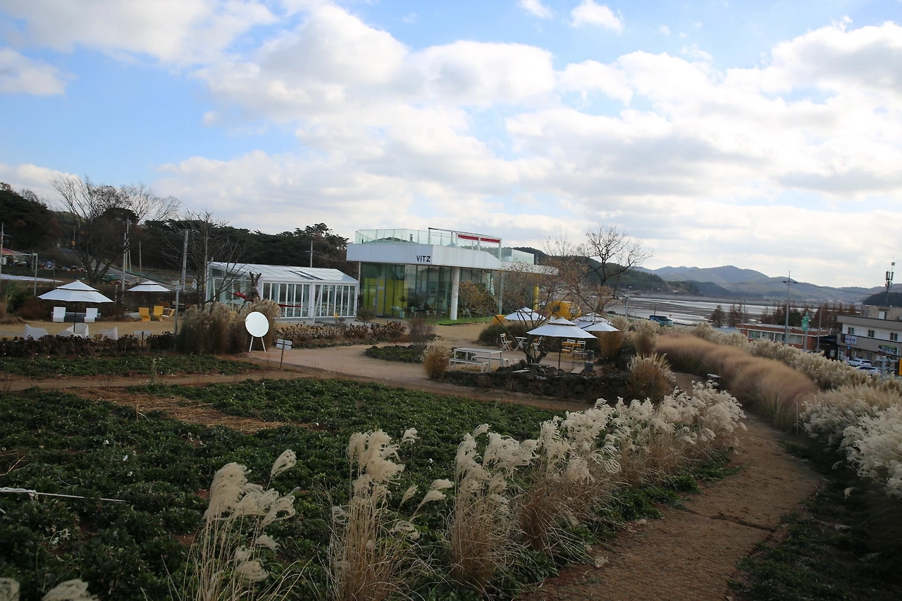 MG0A3194_новый размер.JPG