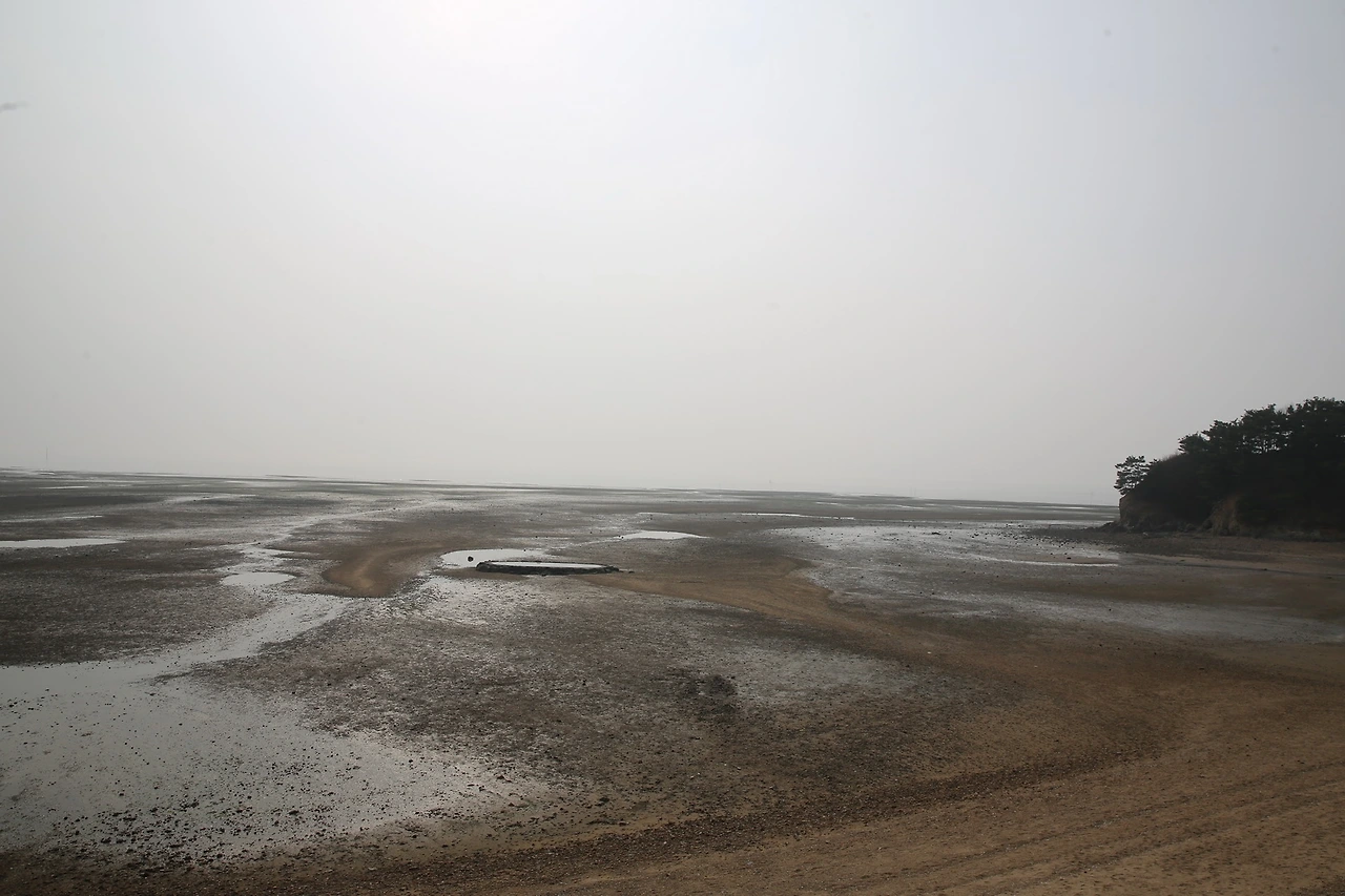 MG0A2208_новый размер.JPG