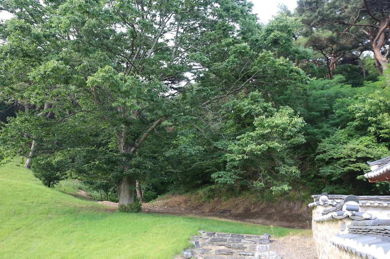 MG0A1920_новый размер.JPG