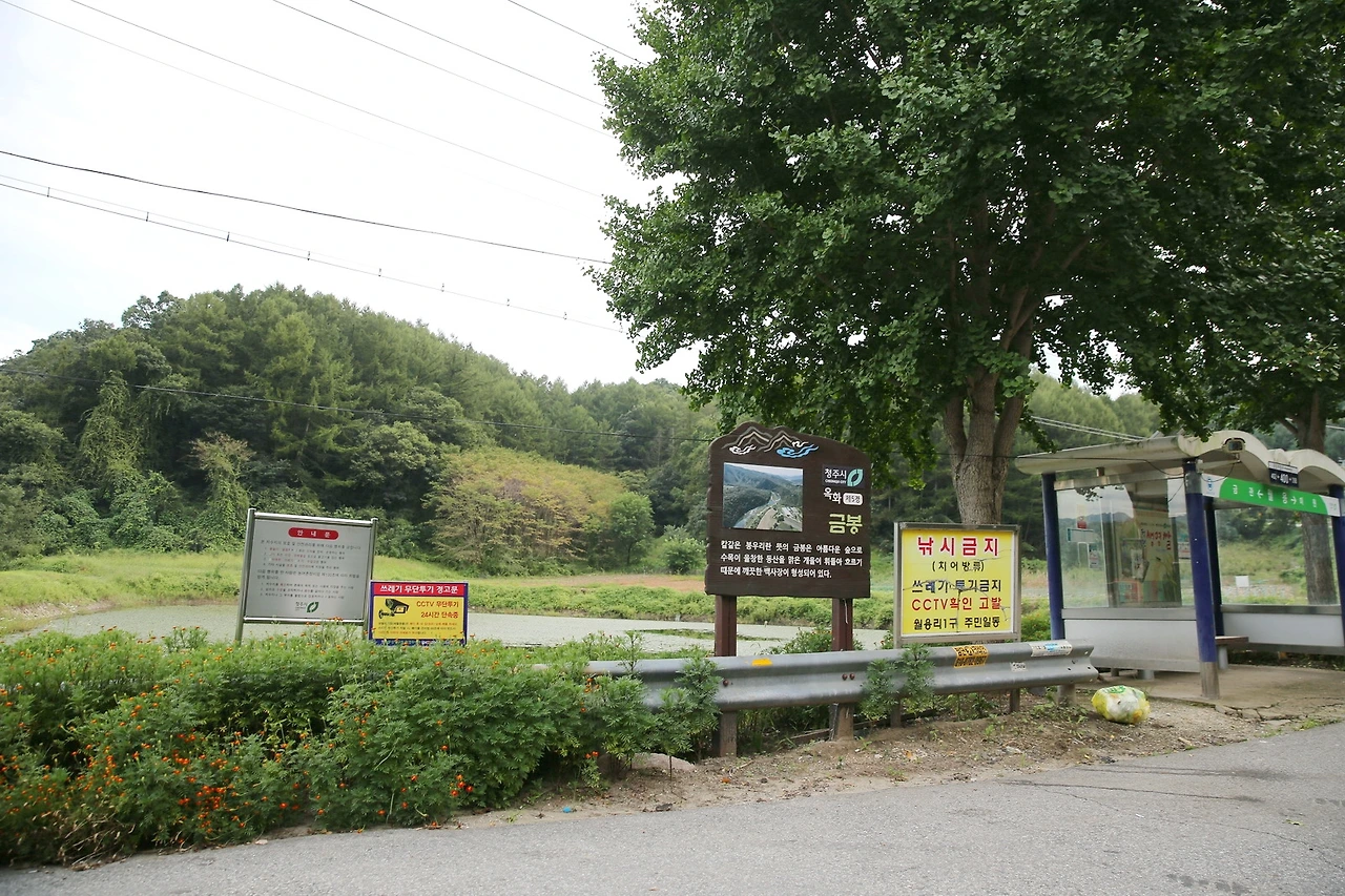 MG0A0586_новый размер_exposure.JPG