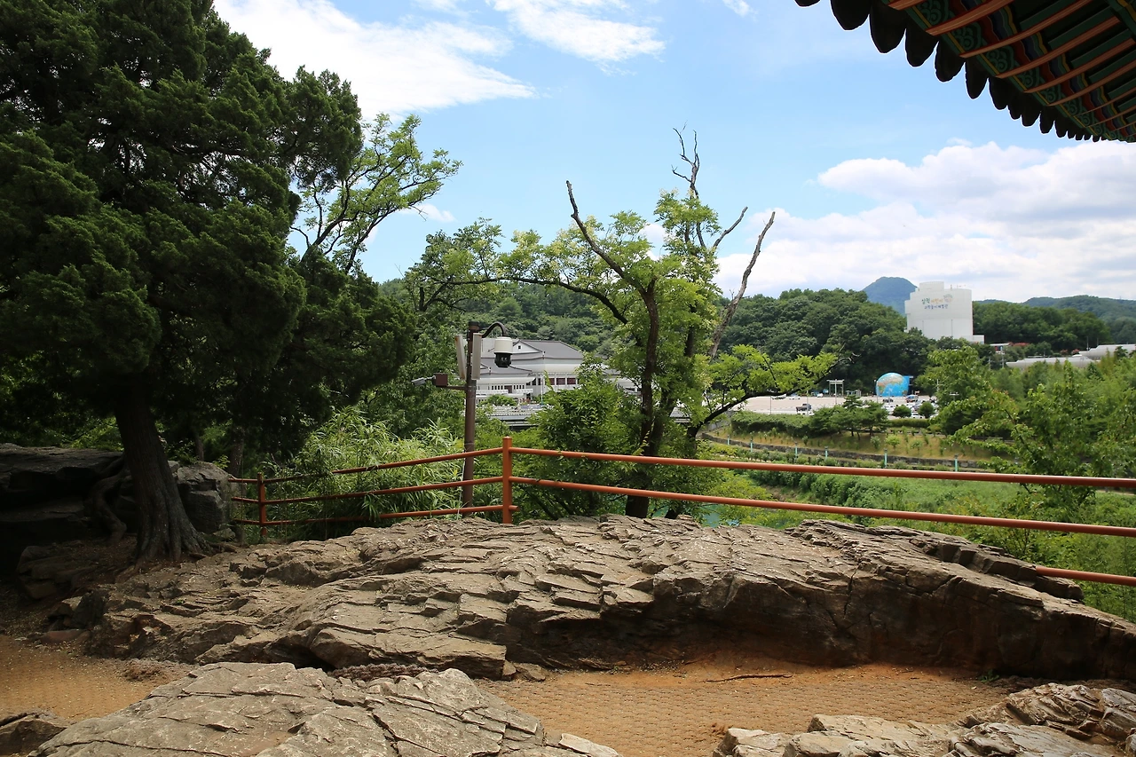 MG0A4906_новый размер.JPG