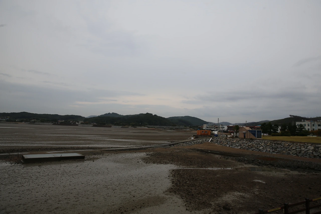 MG0A5090_новый размер.JPG