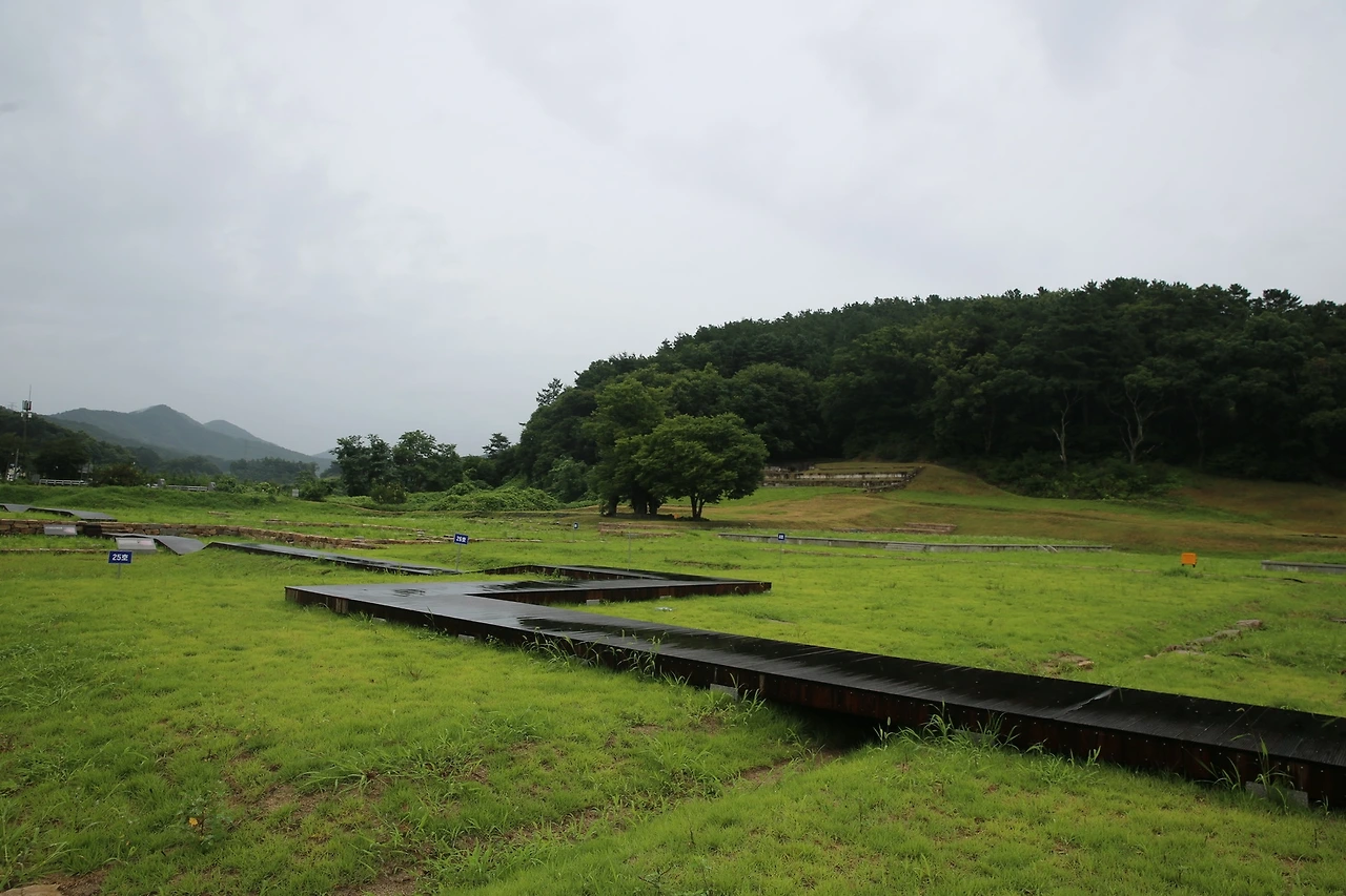 MG0A6033_новый размер.JPG