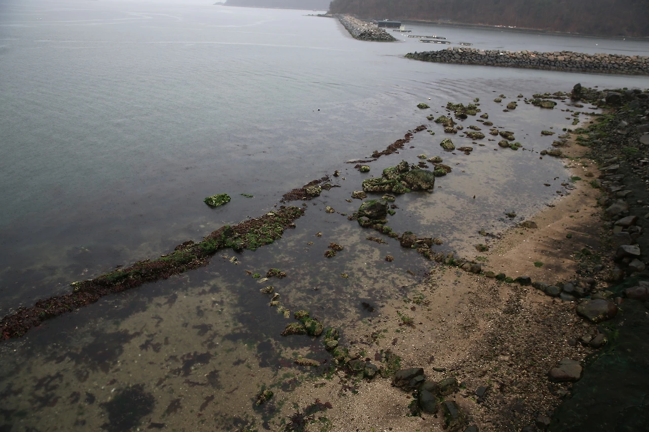 MG0A6369_новый размер.JPG