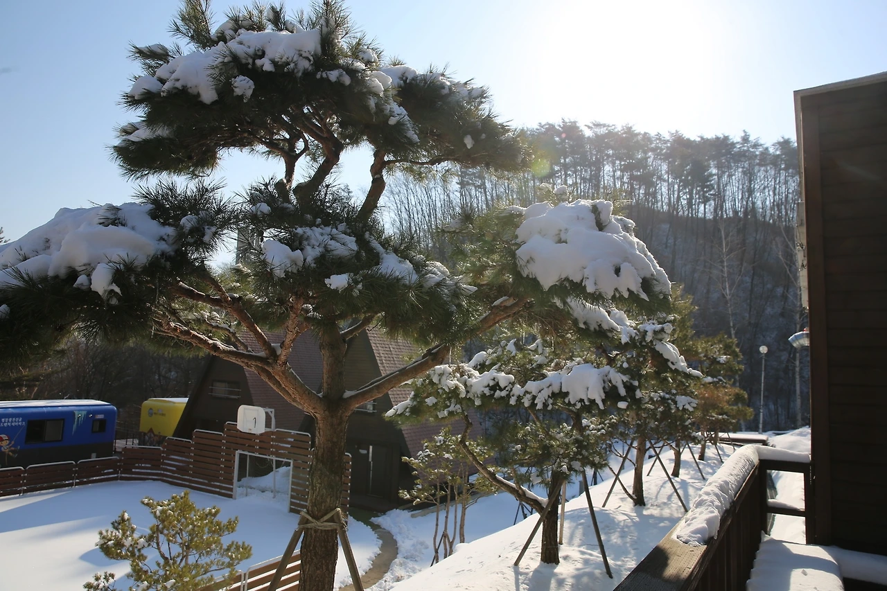 MG0A5039_новый размер.JPG