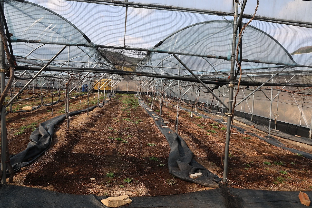 0R5A5780_новый размер.JPG