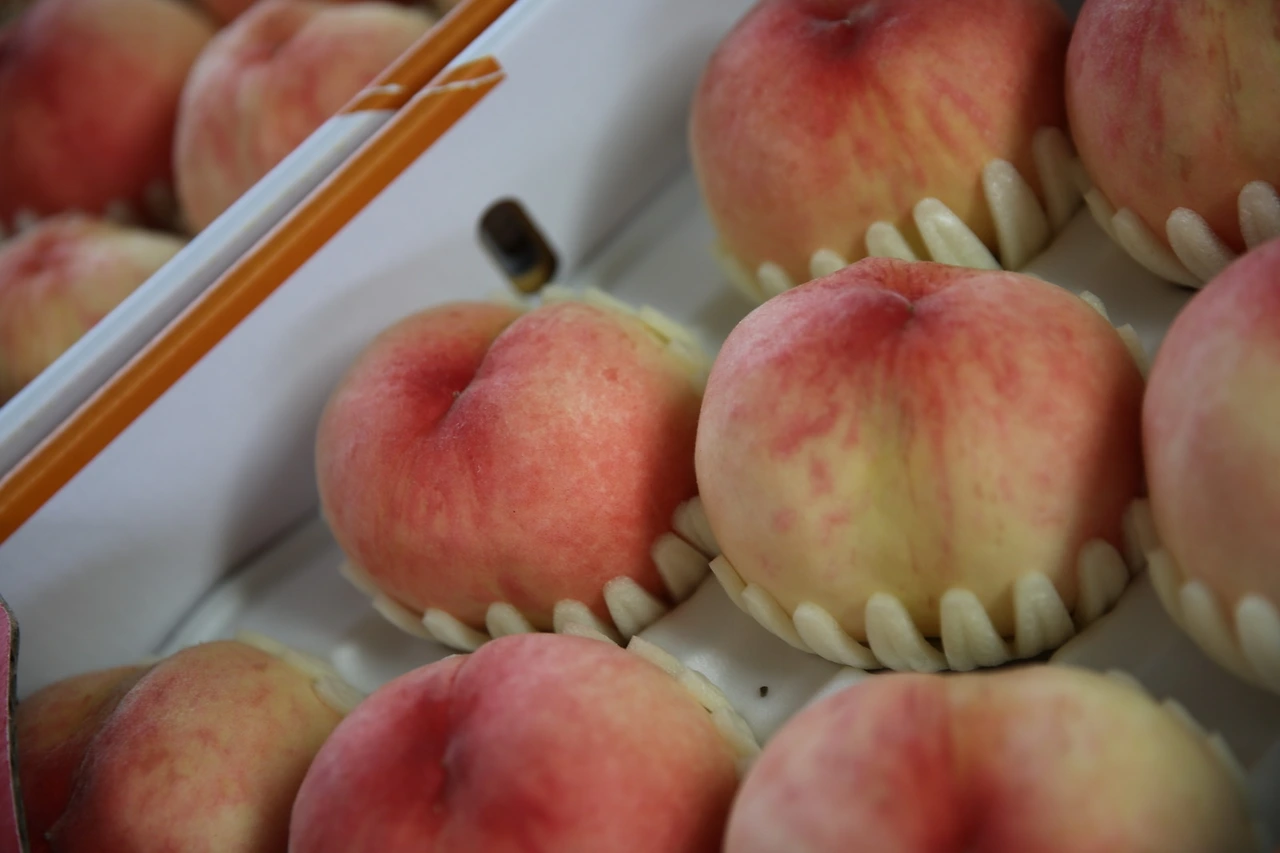 MG0A6203_новый размер.JPG