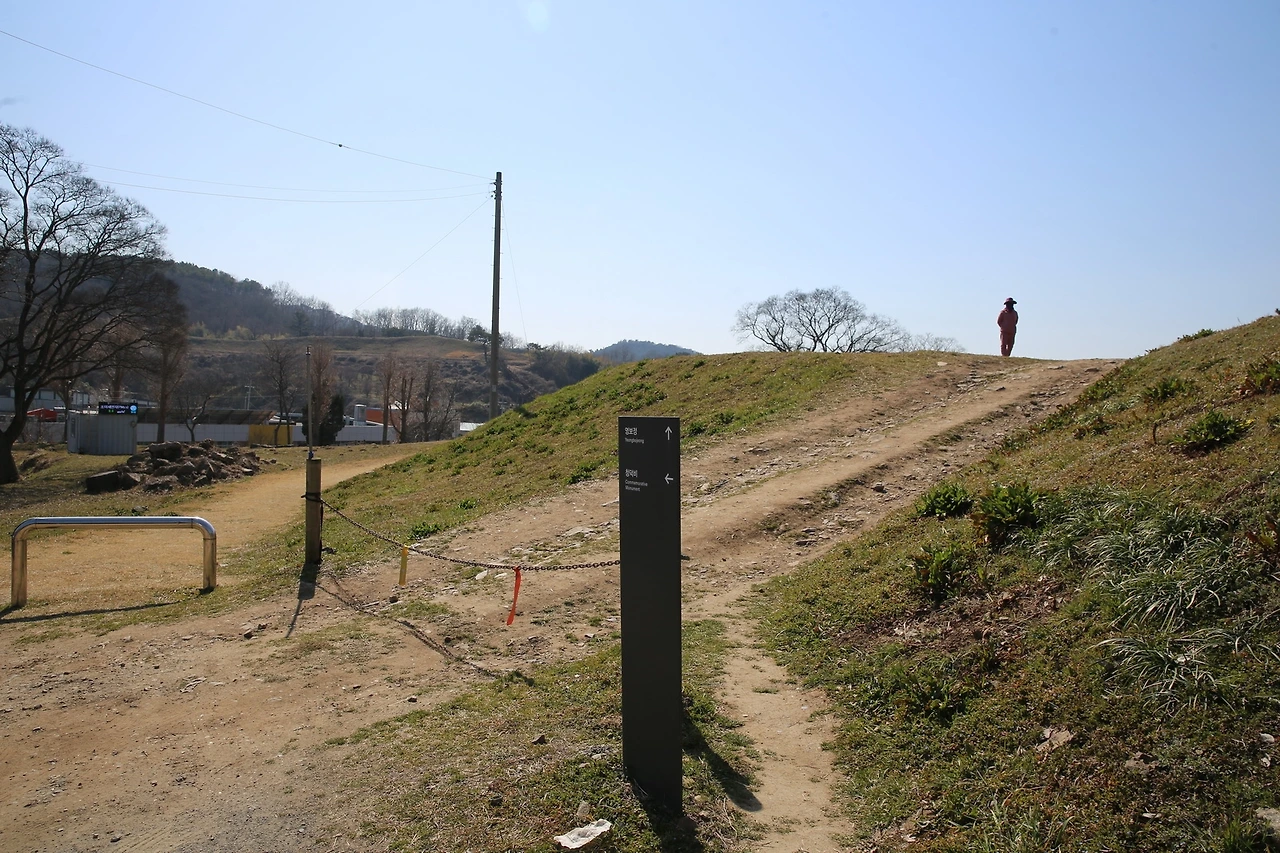 MG0A3373_новый размер.JPG