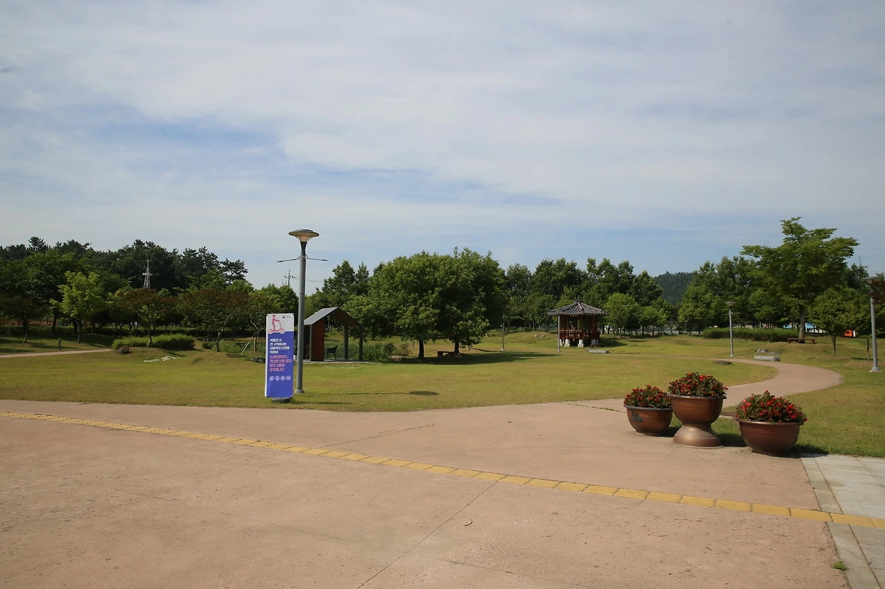 MG0A9376_новый размер.JPG