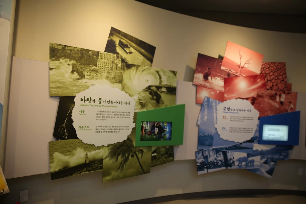 MG0A6127_новый размер.JPG