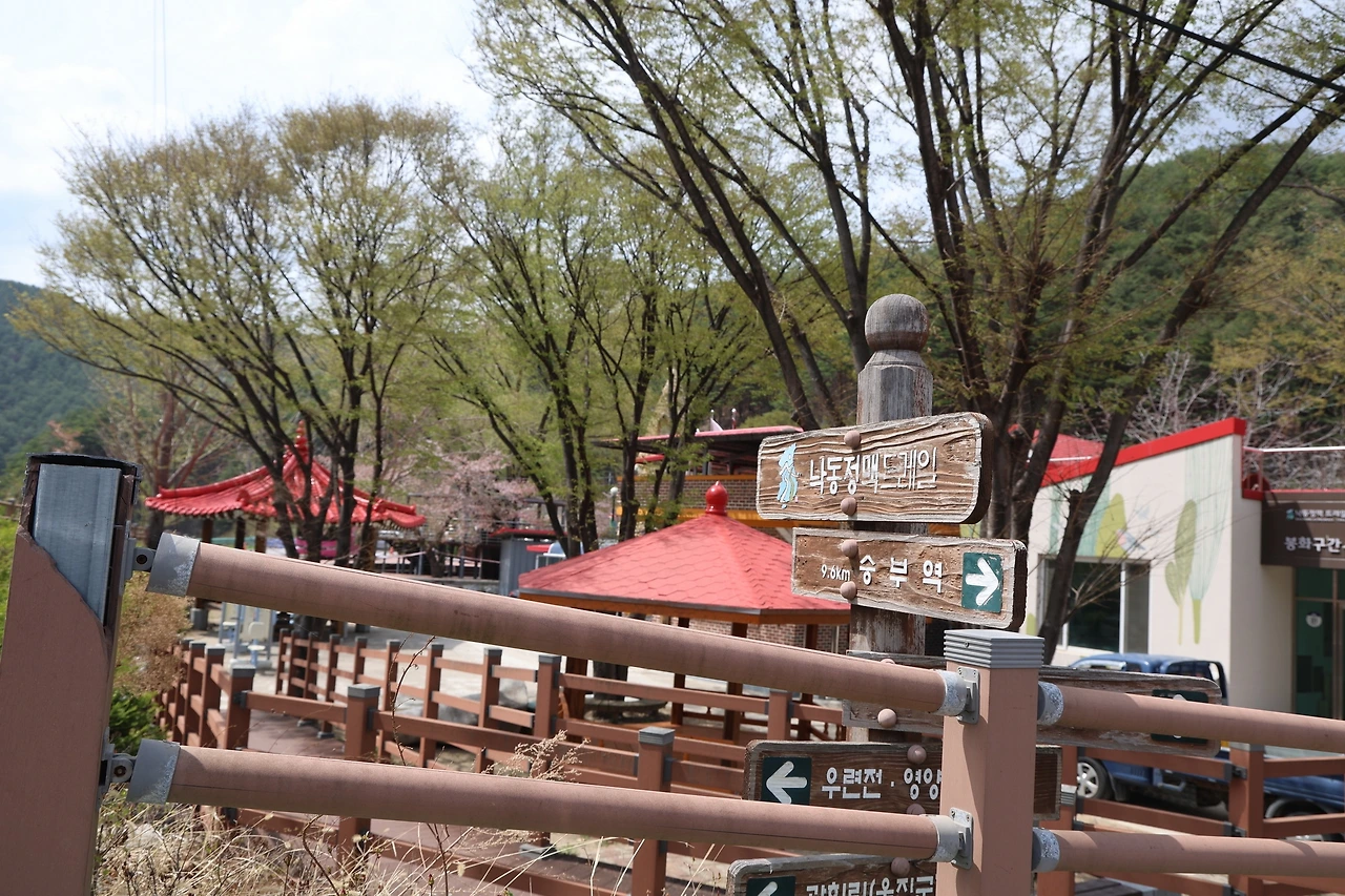 0R5A7313_новый размер.JPG