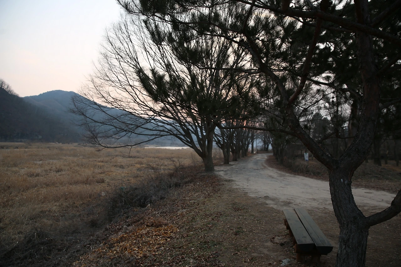 MG0A6532_новый размер.JPG