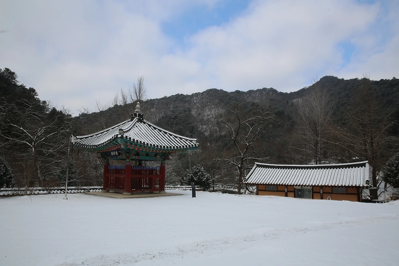 MG0A6350_новый размер.JPG