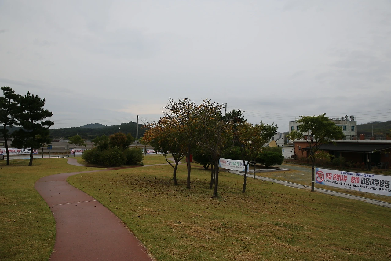 MG0A5094_новый размер.JPG