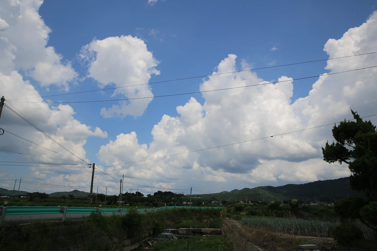 MG0A7873_новый размер.JPG