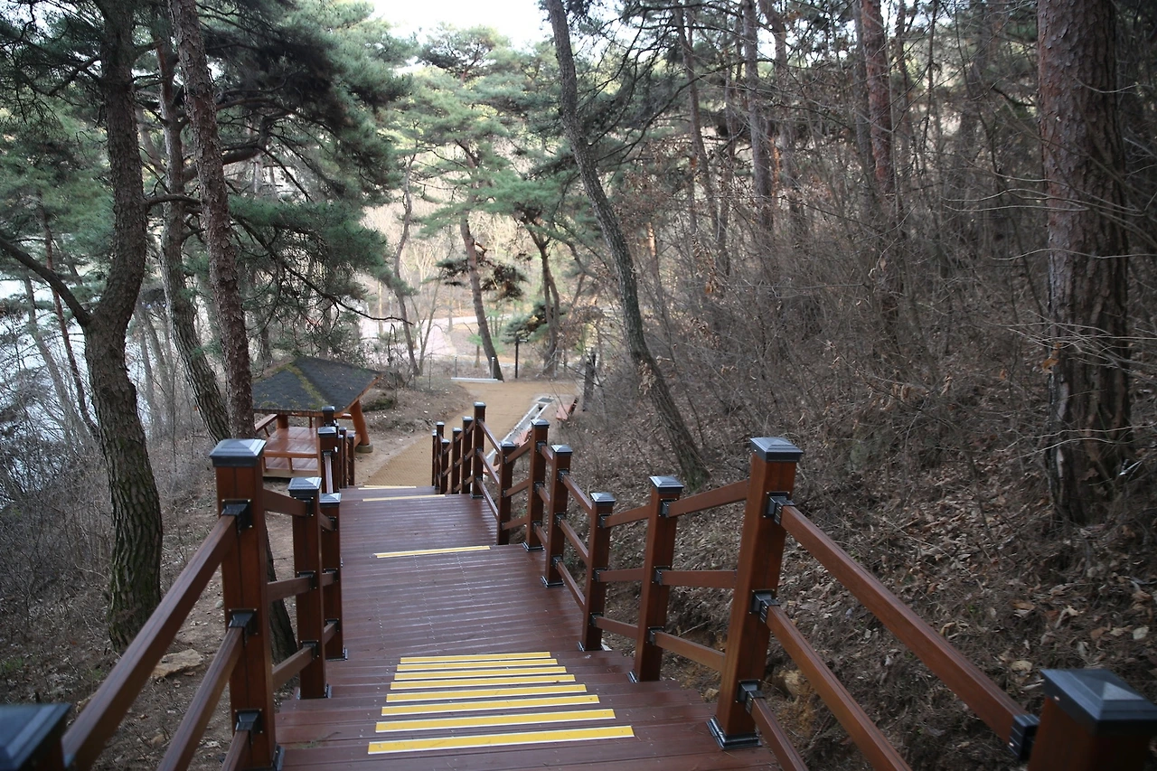 MG0A4918_новый размер.JPG