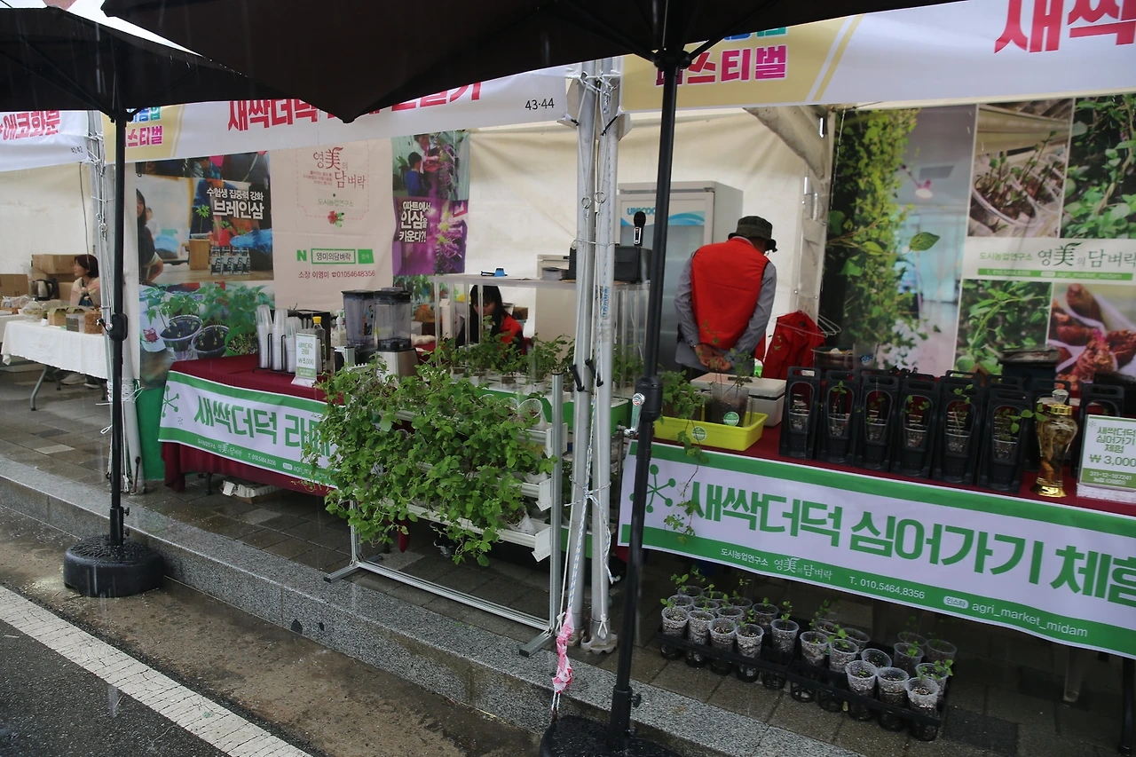 MG0A3160_новый размер.JPG