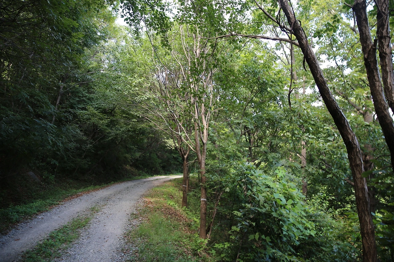 MG0A9254_новый размер.JPG