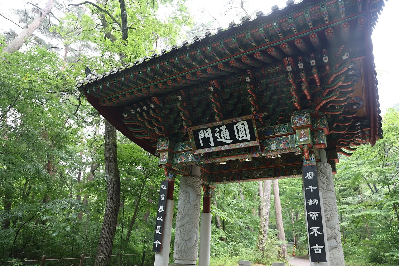 0R5A7594_новый размер.JPG