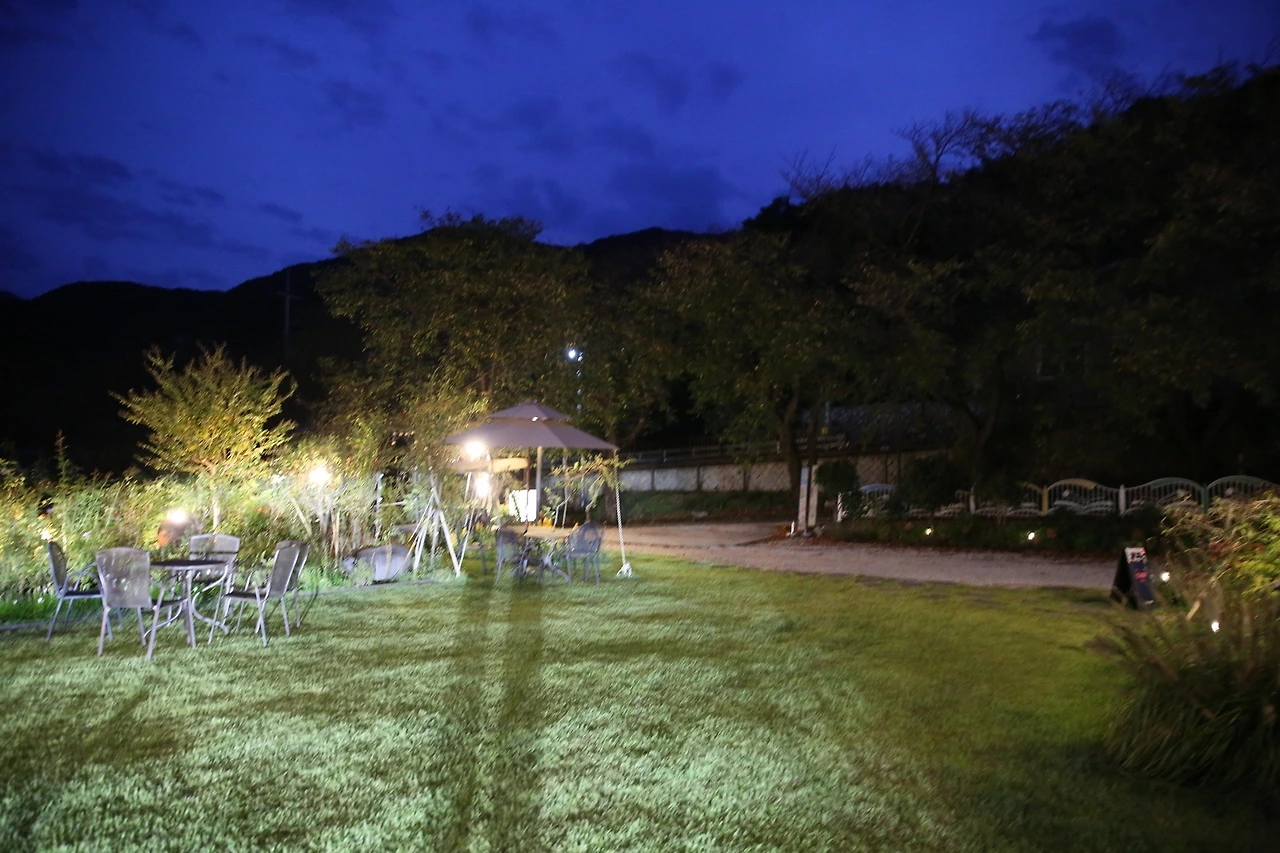 MG0A6024_новый размер.JPG