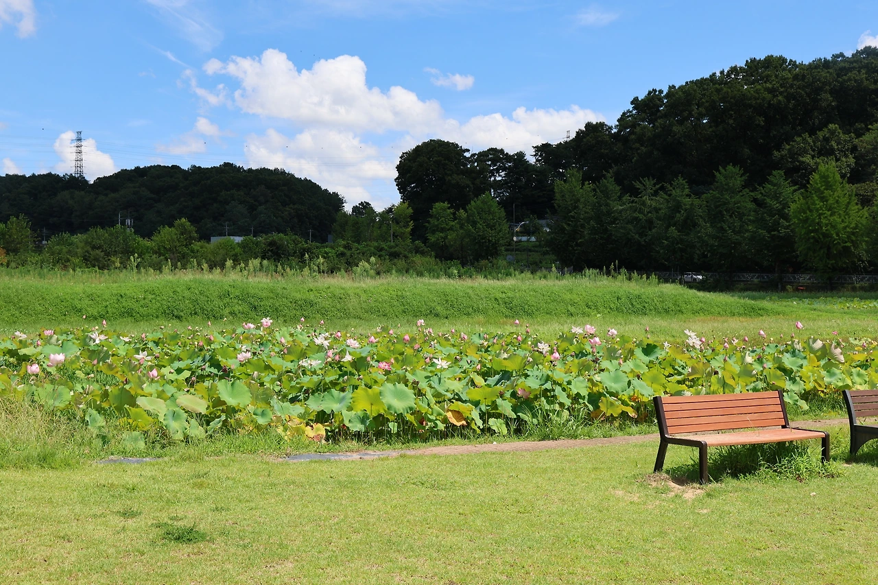 0R5A2663_новый размер.JPG