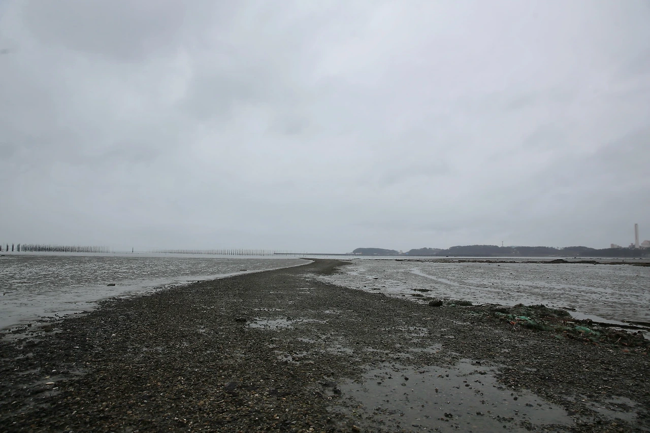 MG0A9383_новый размер_exposure.JPG