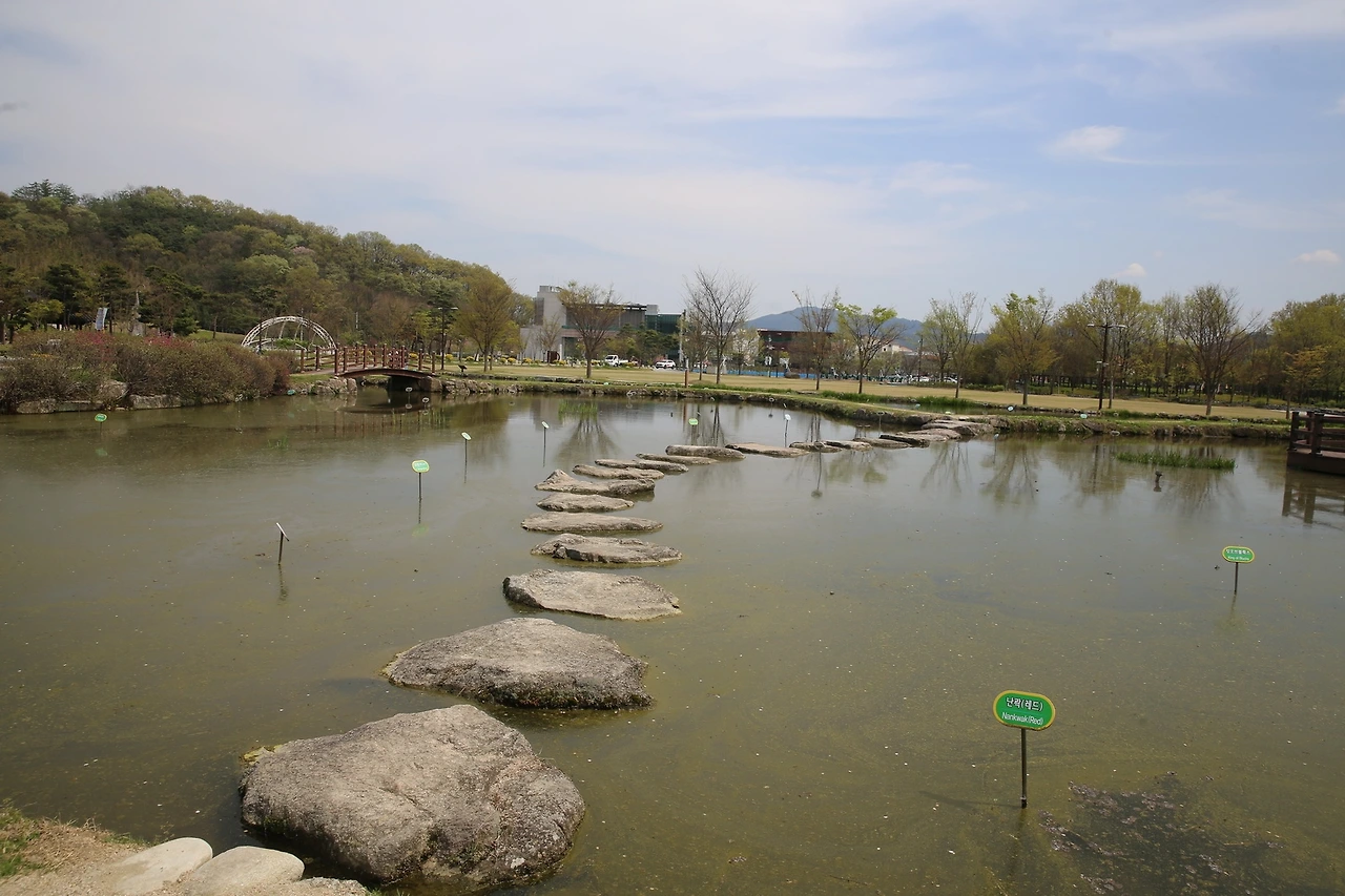 MG0A9185_новый размер.JPG