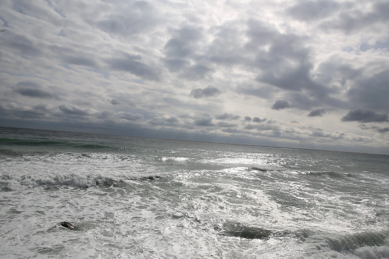 MG0A2621_новый размер.JPG