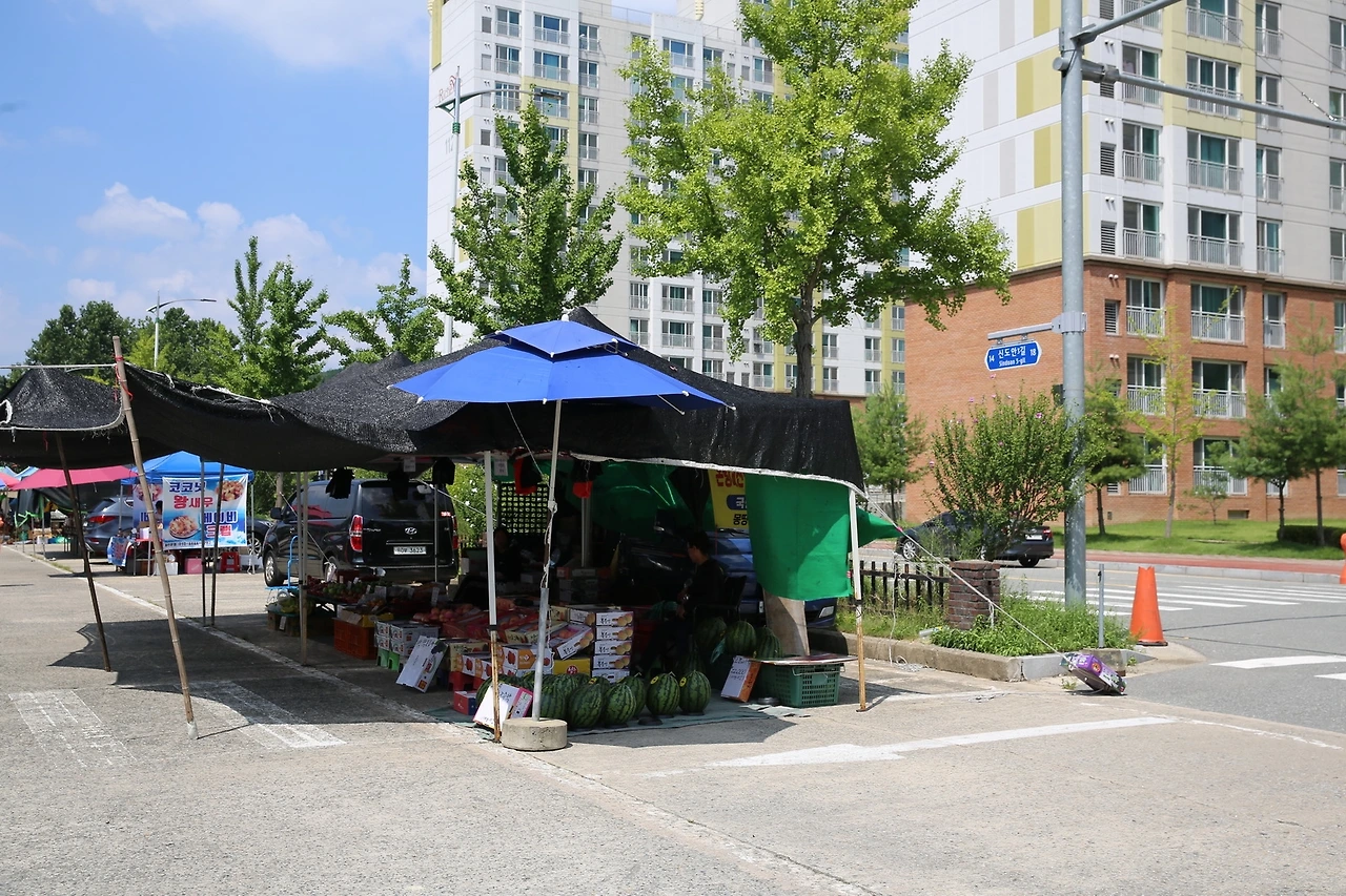 MG0A6884_новый размер.JPG