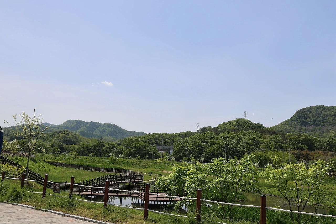 0R5A9927_новый размер.JPG