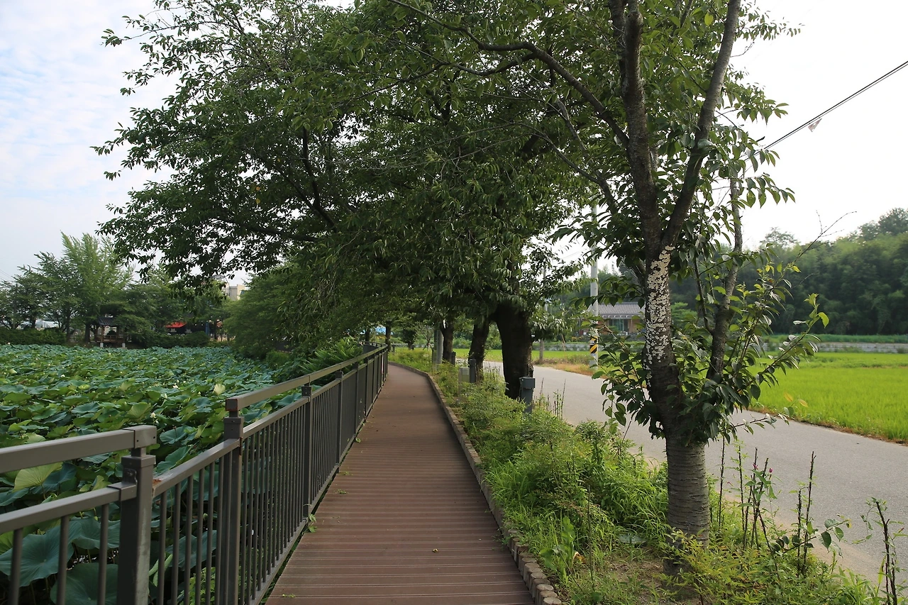 MG0A7146_новый размер.JPG