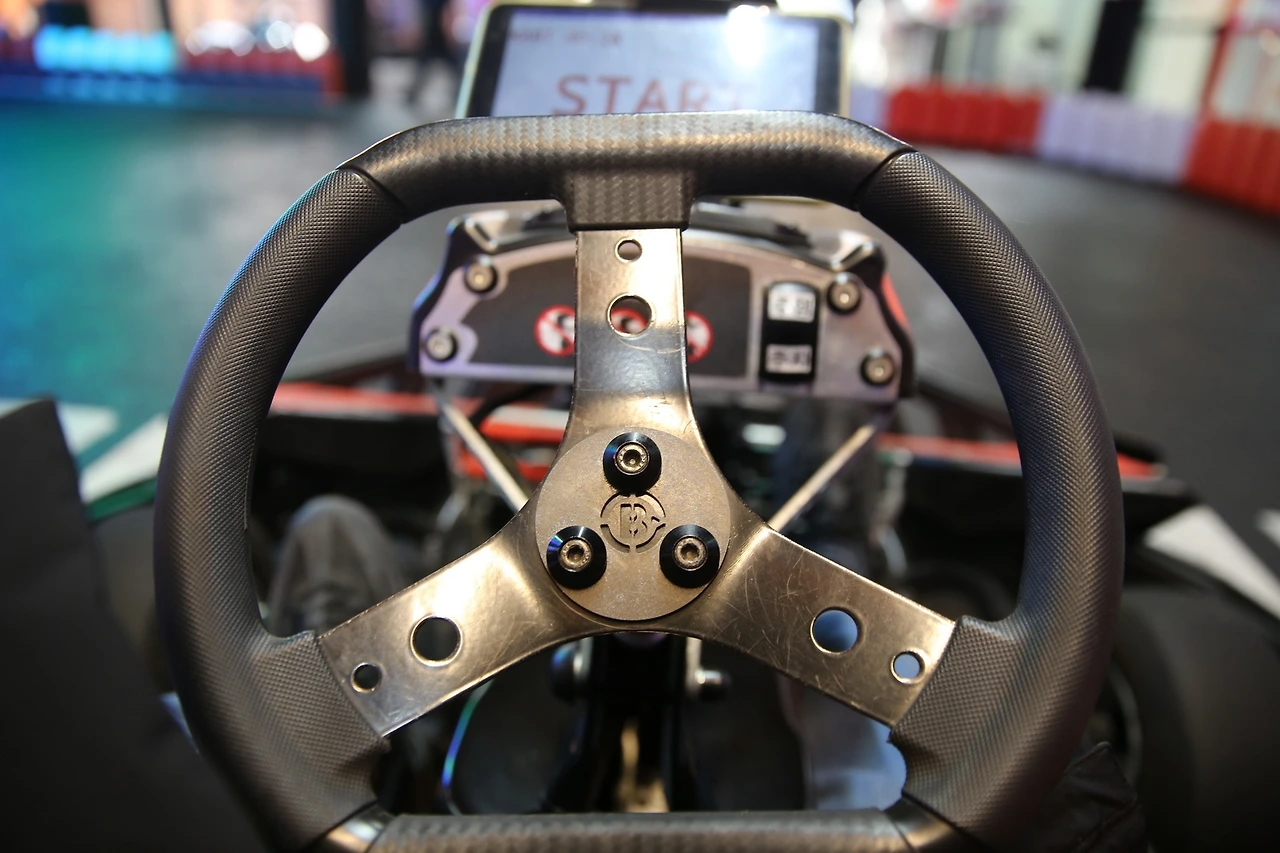 MG0A4743_новый размер.JPG