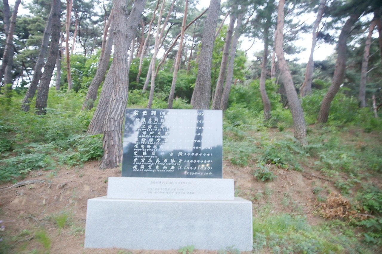 MG0A1211_новый размер_exposure.JPG