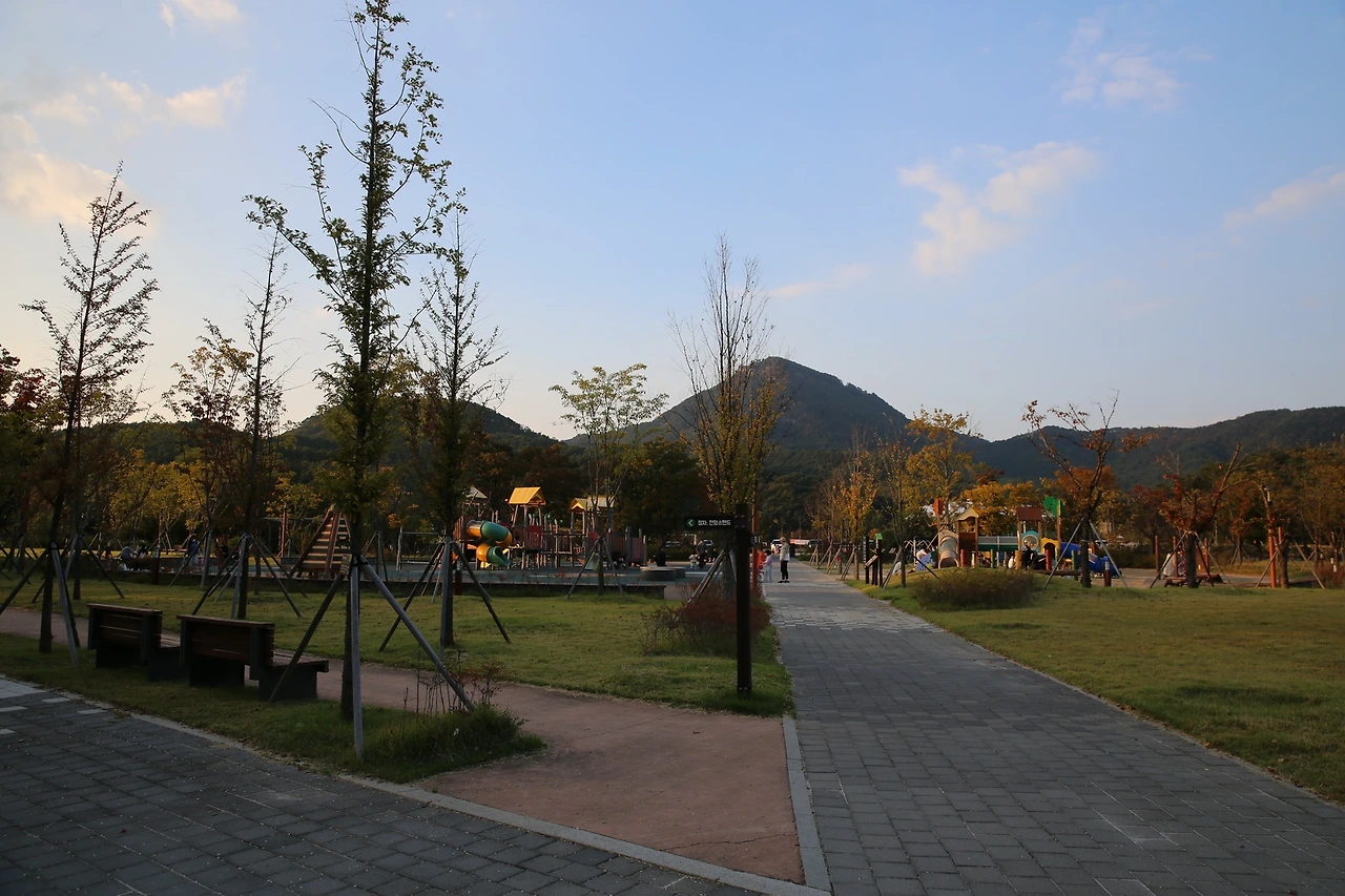 MG0A6600_новый размер.JPG