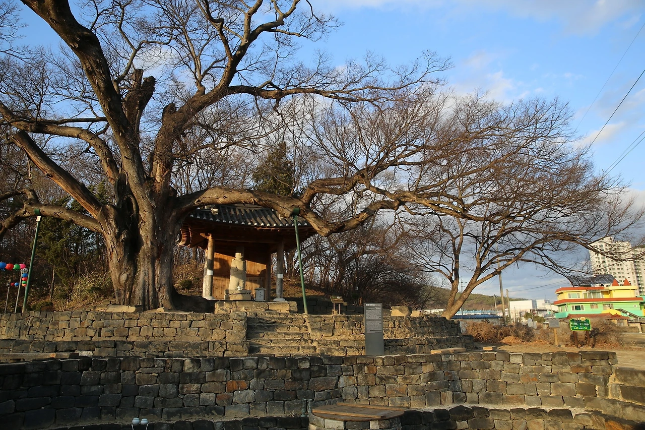 MG0A2027_новый размер.JPG