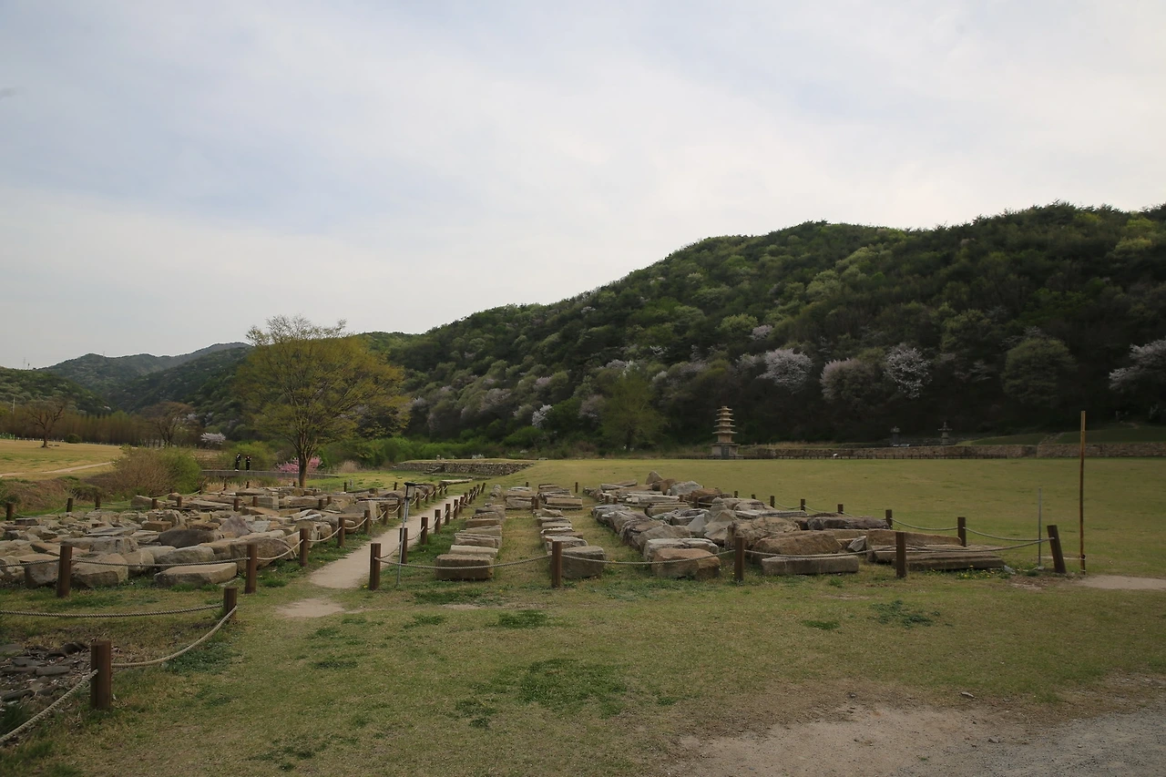 MG0A9486_новый размер.JPG