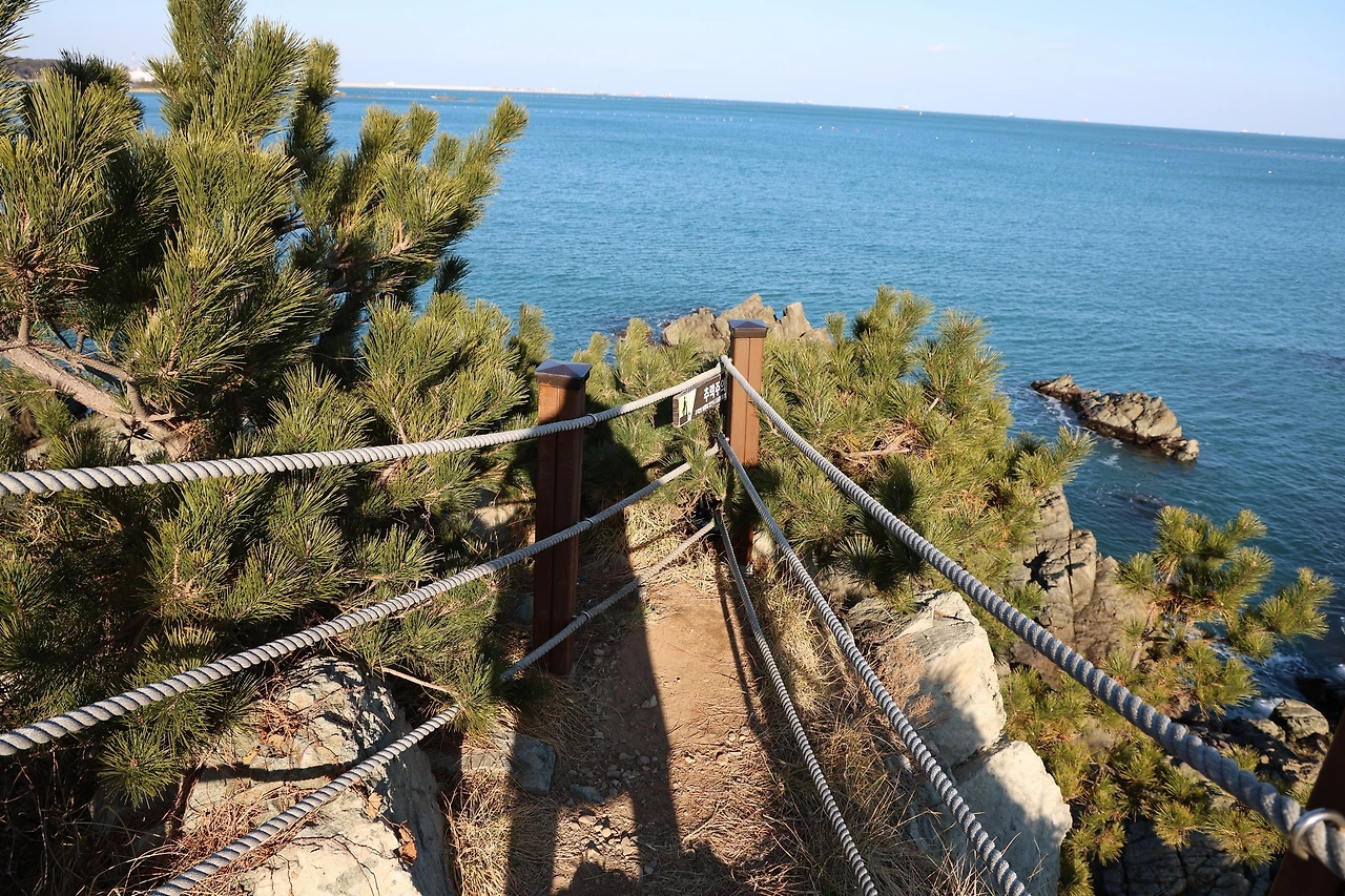 0R5A7903_новый размер.JPG