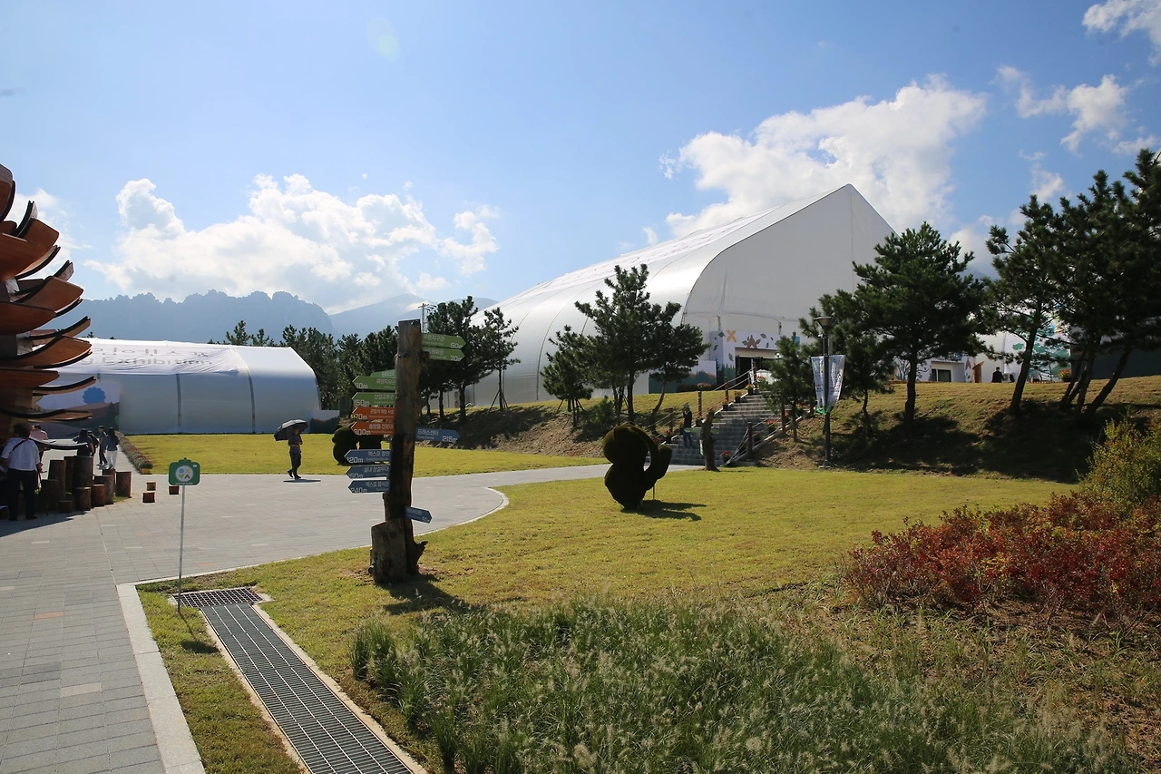 MG0A3626_новый размер.JPG