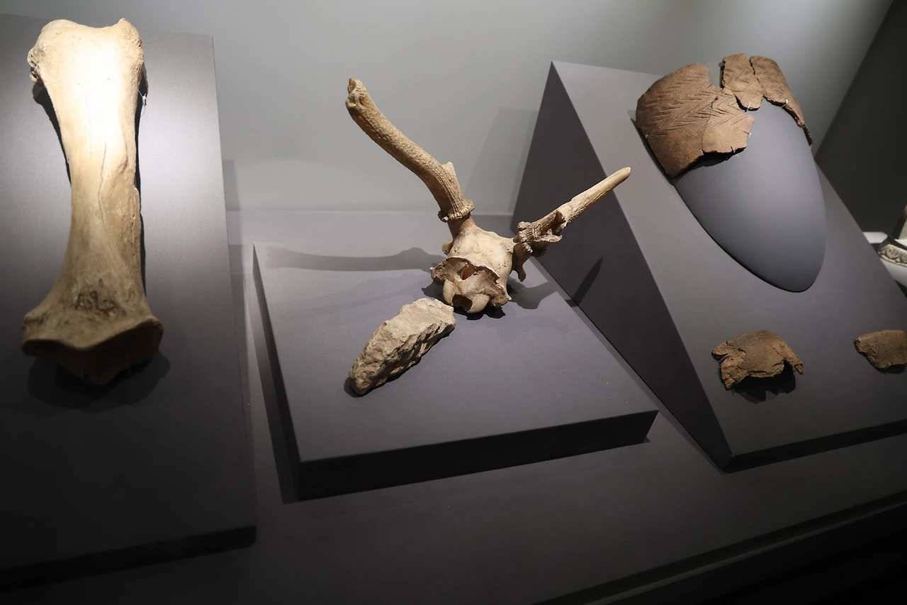 0R5A2822_новый размер.JPG