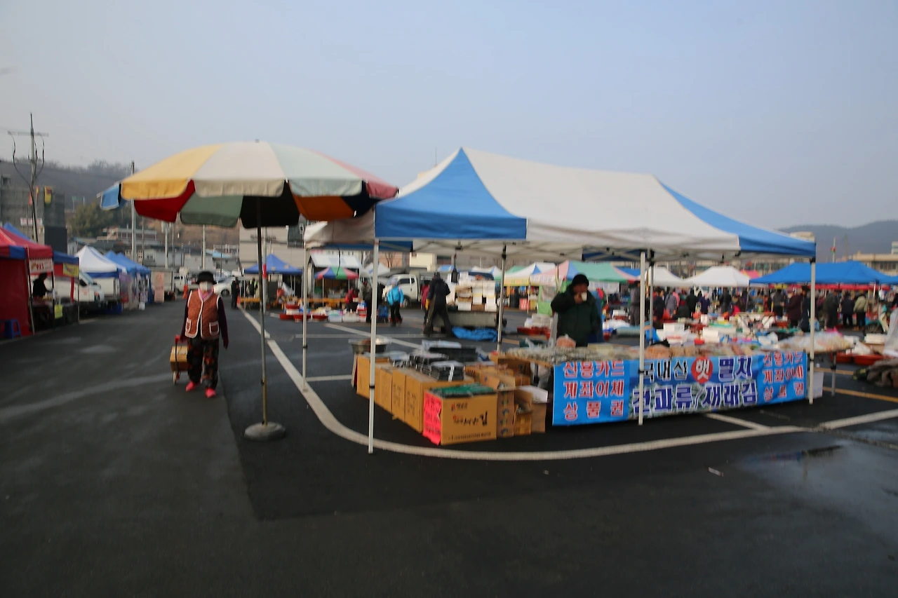 MG0A6618_новый размер.JPG