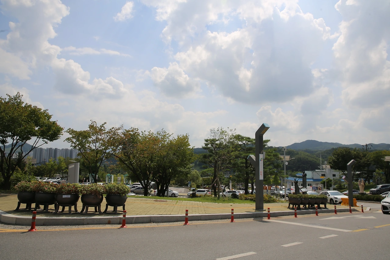 MG0A0249_новый размер.JPG