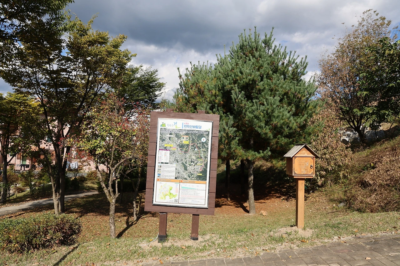 0R5A1165_новый размер.JPG