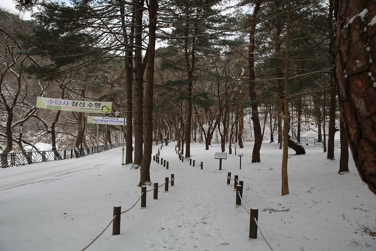 MG0A6326_новый размер.JPG